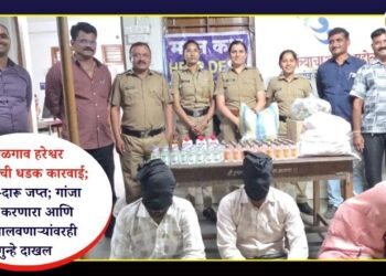 पिंपळगाव हरेश्वर पोलिसांची धडक कारवाई; गुटखा-दारू जप्त; गांजा सेवन करणारा आणि सट्टा चालवणाऱ्यांवरही गुन्हे दाखल