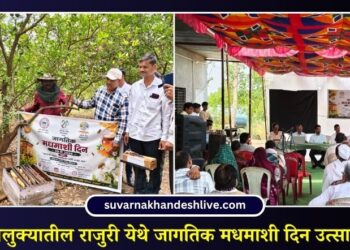 पाचोरा तालुक्यातील राजुरी येथे जागतिक मधमाशी दिन उत्साहात संपन्न