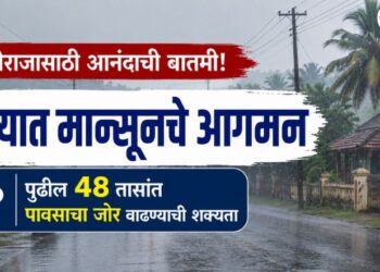 बळीराजासाठी आनंदाची बातमी! राज्यात मान्सूनचे आगमन, पुढील 48 तासांत पावसाचा जोर वाढण्याची शक्यता
