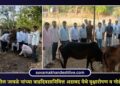 आमदार अमोल जावळे यांच्या वाढदिवसानिमित्त अडावद येथे वृक्षारोपण व गोसेवेचा उपक्रम