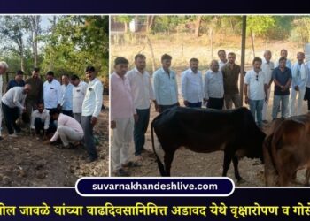 आमदार अमोल जावळे यांच्या वाढदिवसानिमित्त अडावद येथे वृक्षारोपण व गोसेवेचा उपक्रम