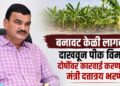 बनावट केळी लागवड दाखवून पीक विमा; दोषींवर कारवाई करणार – मंत्री दत्तात्रय भरणे