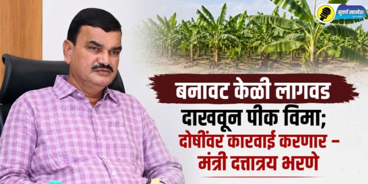 बनावट केळी लागवड दाखवून पीक विमा; दोषींवर कारवाई करणार – मंत्री दत्तात्रय भरणे
