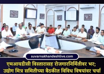 एमआयडीसी विस्तारासह रोजगारनिर्मितीवर भर; उद्योग मित्र समितीच्या बैठकीत विविध विषयांवर चर्चा