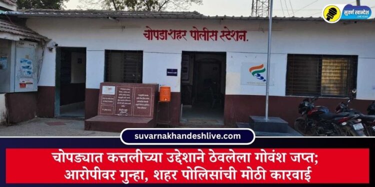 चोपड्यात कत्तलीच्या उद्देशाने ठेवलेला गोवंश जप्त; आरोपीवर गुन्हा, शहर पोलिसांची मोठी कारवाई