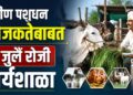Jalgaon News: ग्रामीण पशुधन उद्योजकतेबाबत 16 जुलै रोजी कार्यशाळा