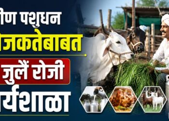 Jalgaon News: ग्रामीण पशुधन उद्योजकतेबाबत 16 जुलै रोजी कार्यशाळा