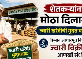 शेतकऱ्यांना मोठा दिलासा; ज्वारी खरेदीची मुदत वाढली, किमान आधारभूत किमतीवर ज्वारी विक्रीची आणखी संधी