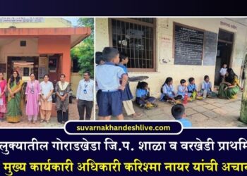 पाचोरा तालुक्यातील गोराडखेडा जि.प. शाळा व वरखेडी प्राथमिक आरोग्य केंद्राला मुख्य कार्यकारी अधिकारी करिश्मा नायर यांची अचानक भेट