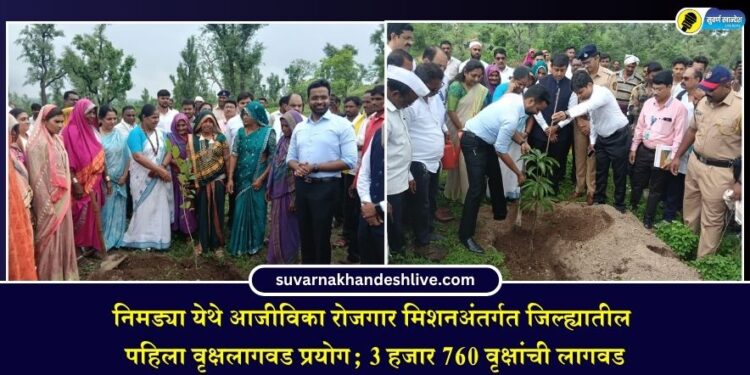 निमड्या येथे आजीविका रोजगार मिशनअंतर्गत जिल्ह्यातील पहिला वृक्षलागवड प्रयोग; 3 हजार 760 वृक्षांची लागवड
