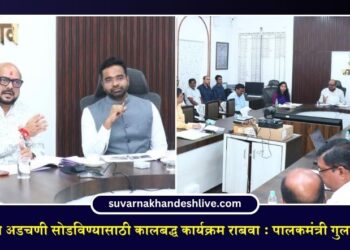 उद्योजकांच्या अडचणी सोडविण्यासाठी कालबद्ध कार्यक्रम राबवा : पालकमंत्री गुलाबराव पाटील