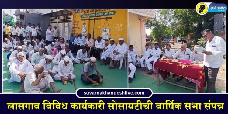 लासगाव विविध कार्यकारी सोसायटीची वार्षिक सभा संपन्न