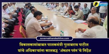 विकासकामांबाबत पालकमंत्री गुलाबराव पाटील यांचे अधिकाऱ्यांना कालबद्ध ‘ॲक्शन प्लॅन’चे निर्देश