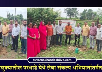 Pachora Taluka News: पाचोरा तालुक्यातील परधाडे येथे सेवा संकल्प अभियानांतर्गत वृक्षारोपण