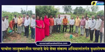 Pachora Taluka News: पाचोरा तालुक्यातील परधाडे येथे सेवा संकल्प अभियानांतर्गत वृक्षारोपण