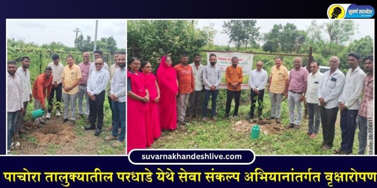 Pachora Taluka News: पाचोरा तालुक्यातील परधाडे येथे सेवा संकल्प अभियानांतर्गत वृक्षारोपण