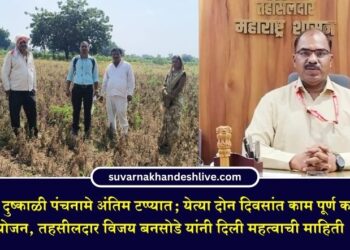 पाचोऱ्यात दुष्काळी पंचनामे अंतिम टप्प्यात; येत्या दोन दिवसांत काम पूर्ण करण्याचे नियोजन, तहसीलदार विजय बनसोडे यांची माहिती