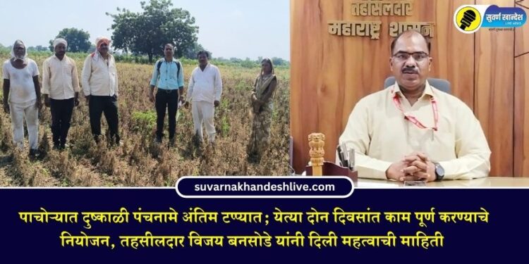 पाचोऱ्यात दुष्काळी पंचनामे अंतिम टप्प्यात; येत्या दोन दिवसांत काम पूर्ण करण्याचे नियोजन, तहसीलदार विजय बनसोडे यांची माहिती