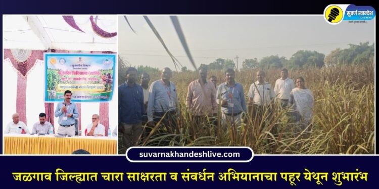 जळगाव जिल्ह्यात चारा साक्षरता व संवर्धन अभियानाचा पहूर येथून शुभारंभ