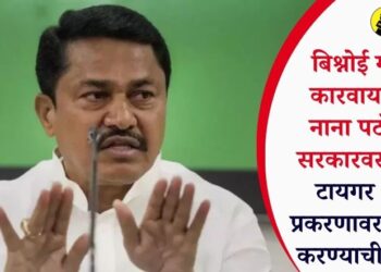 बिश्नोई गँगच्या कारवायांवरून नाना पटोलेंची सरकारवर टीका; टायगर श्रॉफ प्रकरणावर खुलासा करण्याची मागणी