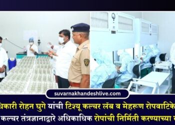जिल्हाधिकारी रोहन घुगे यांची टिश्यू कल्चर लॅब व मेहरूण रोपवाटिकेस भेट; टिश्यू कल्चर तंत्रज्ञानाद्वारे अधिकाधिक रोपांची निर्मिती करण्याच्या सूचना