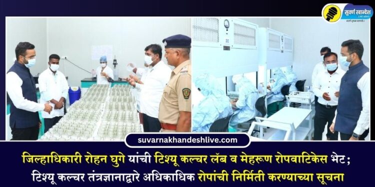 जिल्हाधिकारी रोहन घुगे यांची टिश्यू कल्चर लॅब व मेहरूण रोपवाटिकेस भेट; टिश्यू कल्चर तंत्रज्ञानाद्वारे अधिकाधिक रोपांची निर्मिती करण्याच्या सूचना