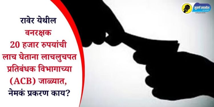 रावेर येथील वनरक्षक 20 हजार रुपयांची लाच घेताना लाचलुचपत प्रतिबंधक विभागाच्या (ACB) जाळ्यात, नेमकं प्रकरण काय?